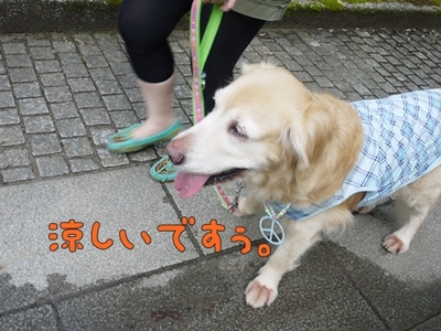 1城跡06.jpg