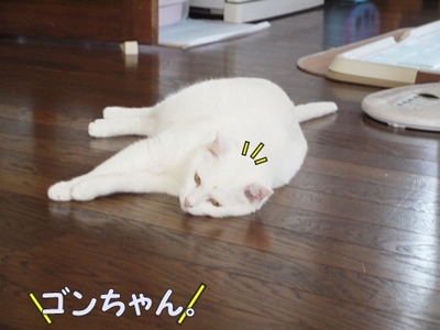 1城跡11.jpg