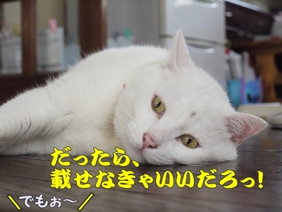 1城跡13.jpg