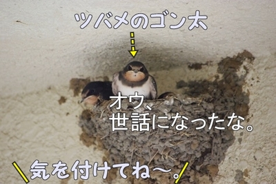 1扇風機01.jpg