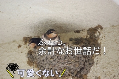 1扇風機02.jpg