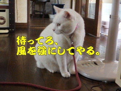 1扇風機05.jpg