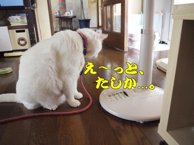 1扇風機06.jpg