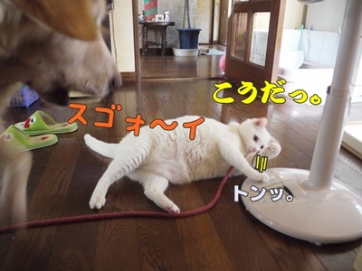 1扇風機07.jpg