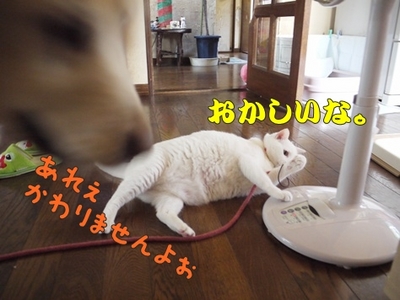 1扇風機08.jpg
