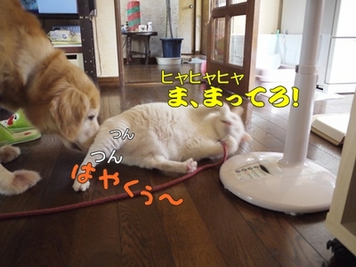 1扇風機09.jpg