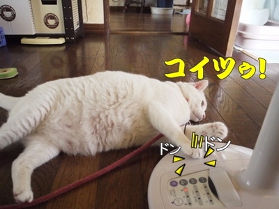 1扇風機10.jpg