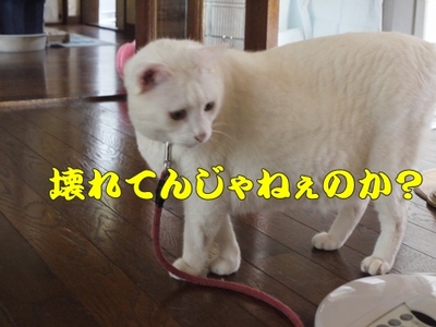 1扇風機18.jpg