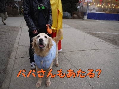 1大前神社15.jpg