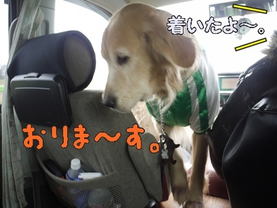 1大平02.jpg