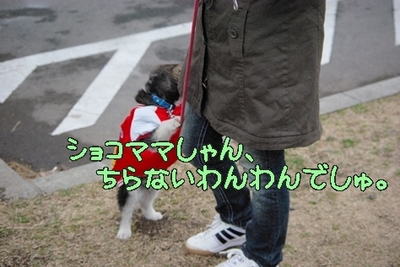 1大平05.jpg
