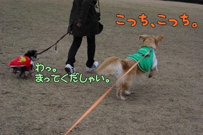 1大平09.jpg