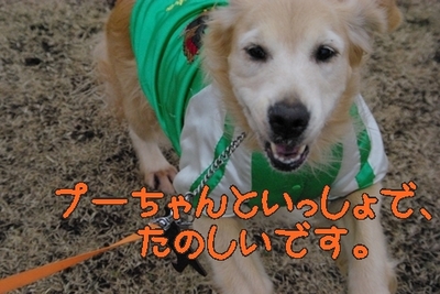 1大平11.jpg