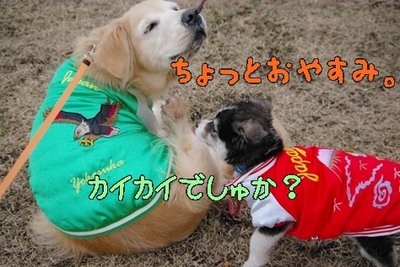 1大平13.jpg