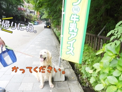 1東照宮03.jpg
