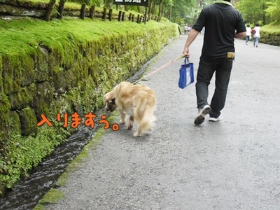 1東照宮09.jpg