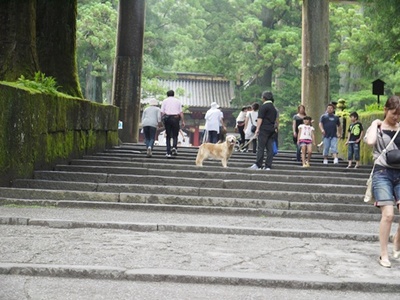 1東照宮12.jpg
