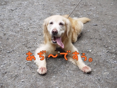 1東照宮17.jpg