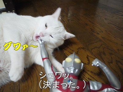 1東照宮26.jpg