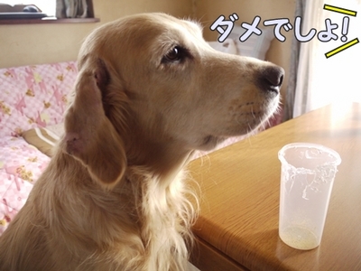 1抜糸04.jpg