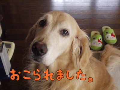 1抜糸06.jpg