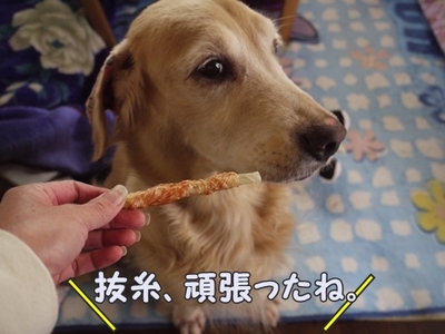 1抜糸09.jpg