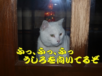 1抜糸12.jpg