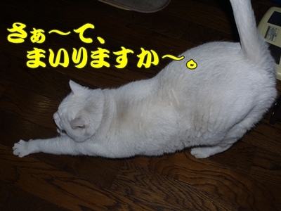 1抜糸13.jpg