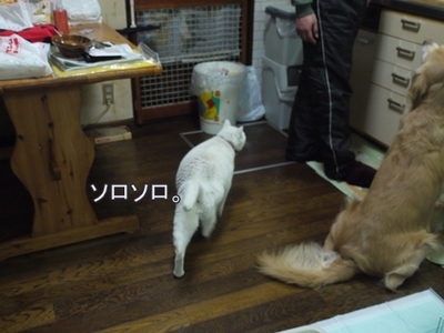 1抜糸14.jpg