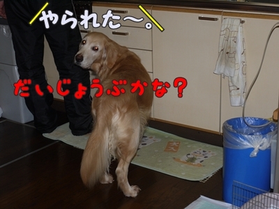 1抜糸18.jpg