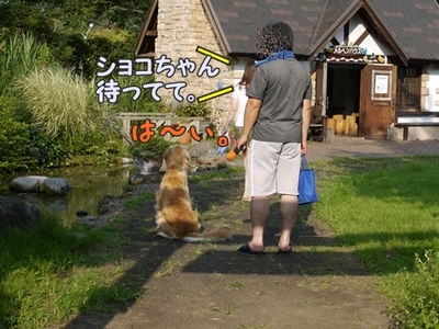 1娘とわんぱく16.jpg