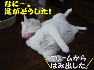 1娘とわんぱく43.jpg