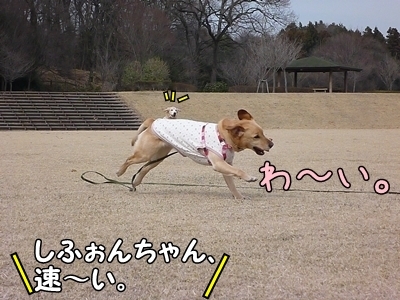 1ブタさん21.jpg