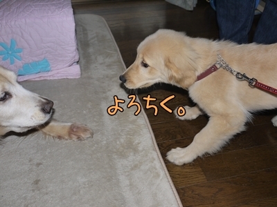1ミッキーちゃん01.jpg