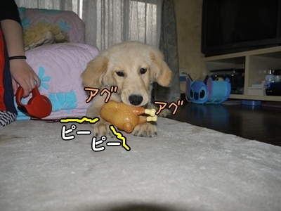 1ミッキーちゃん07.jpg