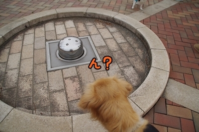 1鏡01.jpg