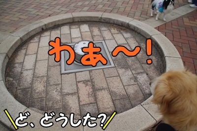 1鏡02.jpg