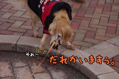 1鏡03.jpg