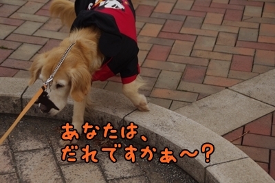 1鏡04.jpg