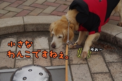 1鏡05.jpg