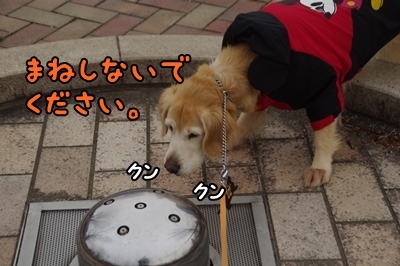 1鏡06.jpg