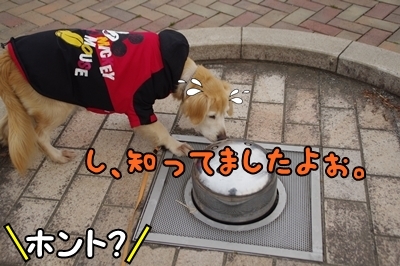 1鏡08.jpg