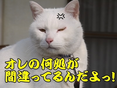 1鏡12.jpg