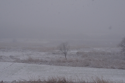 1雪03.jpg
