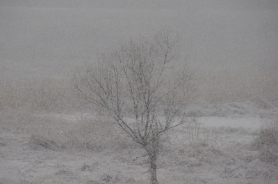 1雪04.jpg