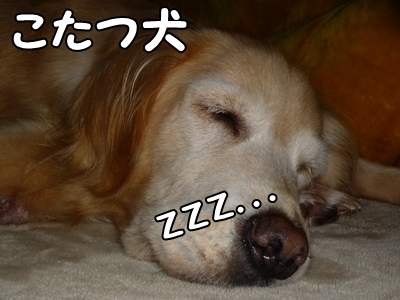 1雪05.jpg