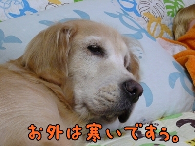 1雪06.jpg