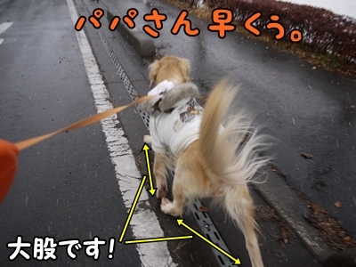 1雪遊び02.jpg