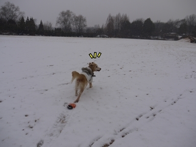 1雪遊び03.jpg