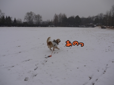 1雪遊び04.jpg
